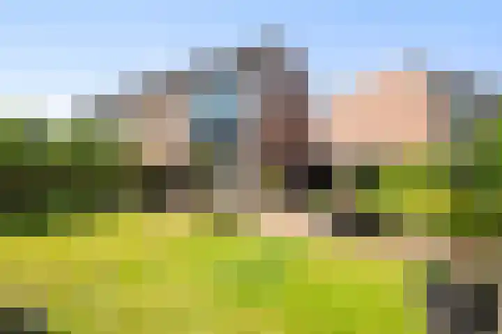 Doorzwin 1113 Julianadorp thumbnail 23