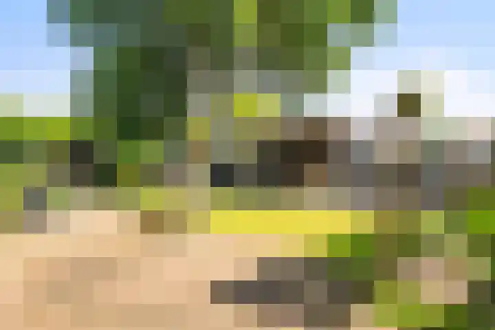 Doorzwin 1113 Julianadorp thumbnail 24