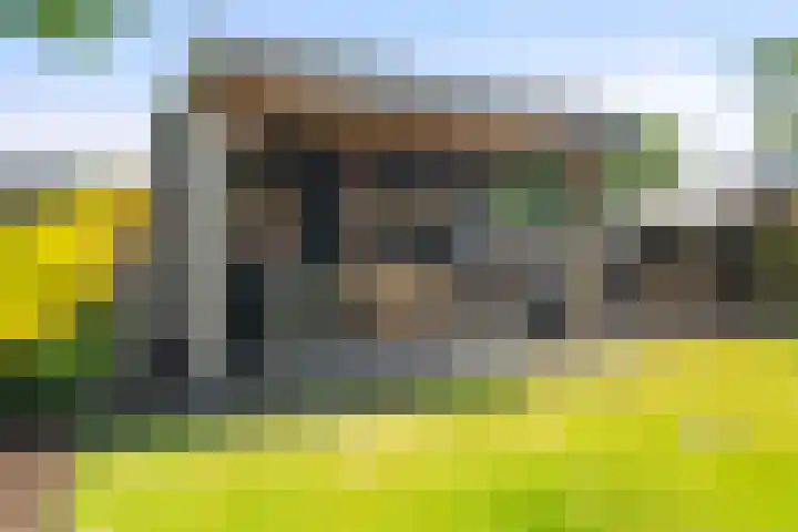 Doorzwin 1113 Julianadorp thumbnail 26