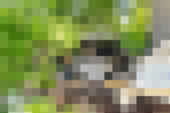 Doorzwin 1113 Julianadorp thumbnail 28