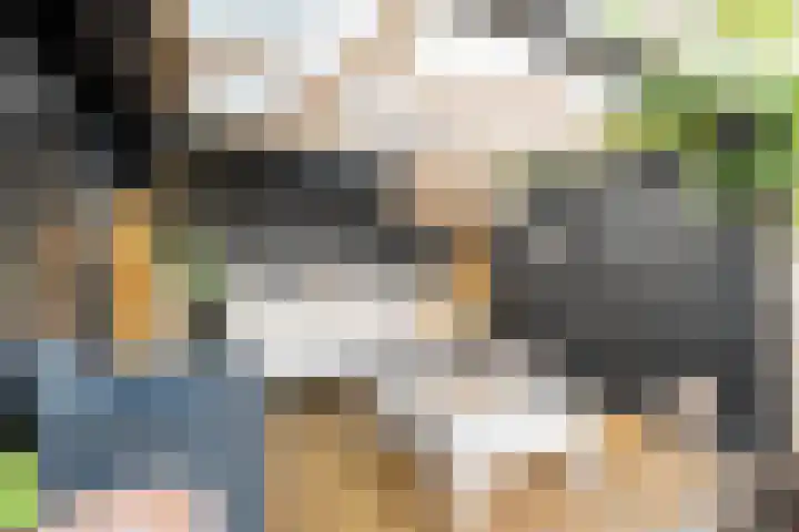 Doorzwin 1113 Julianadorp thumbnail 29