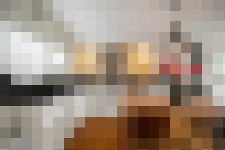 Doorzwin 1113 Julianadorp thumbnail 4