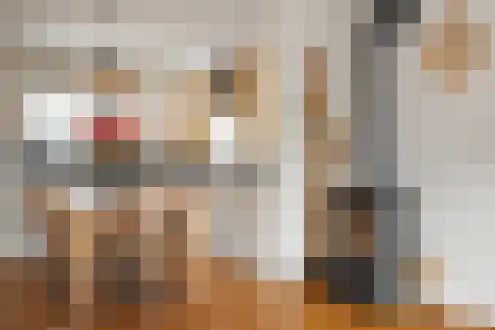 Doorzwin 1113 Julianadorp thumbnail 6
