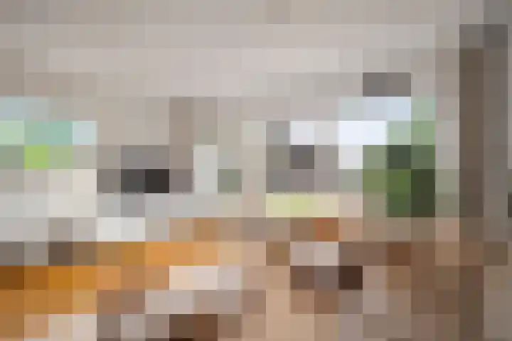 Doorzwin 1113 Julianadorp thumbnail 8
