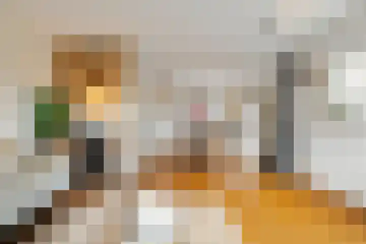 Doorzwin 1113 Julianadorp thumbnail 9