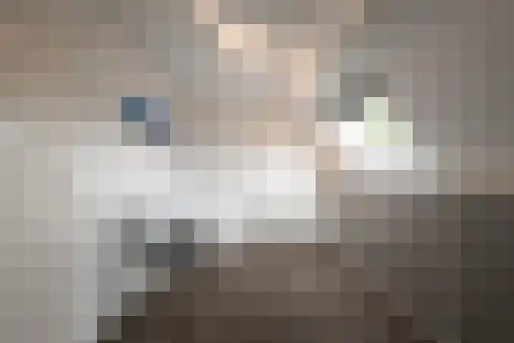 Doorzwin 1146 Julianadorp thumbnail 12