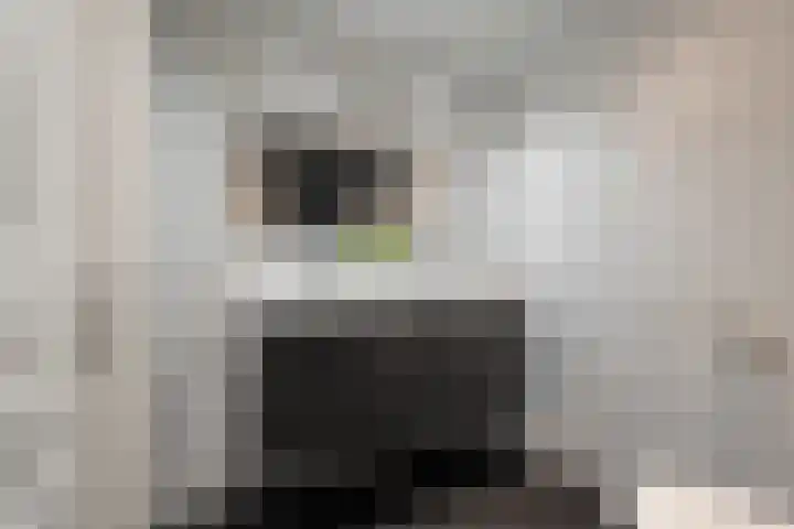 Doorzwin 1146 Julianadorp thumbnail 14