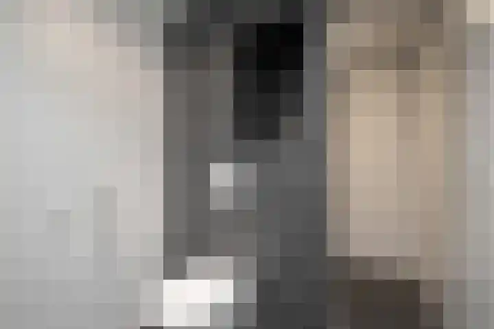 Doorzwin 1146 Julianadorp thumbnail 15