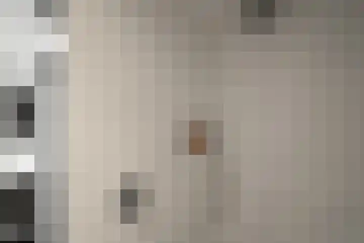 Doorzwin 1146 Julianadorp thumbnail 16