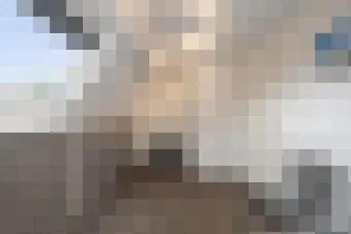 Doorzwin 1146 Julianadorp thumbnail 17
