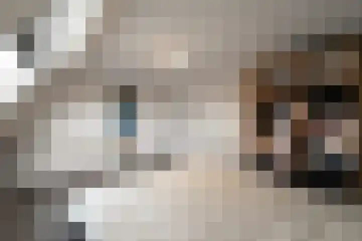 Doorzwin 1146 Julianadorp thumbnail 18