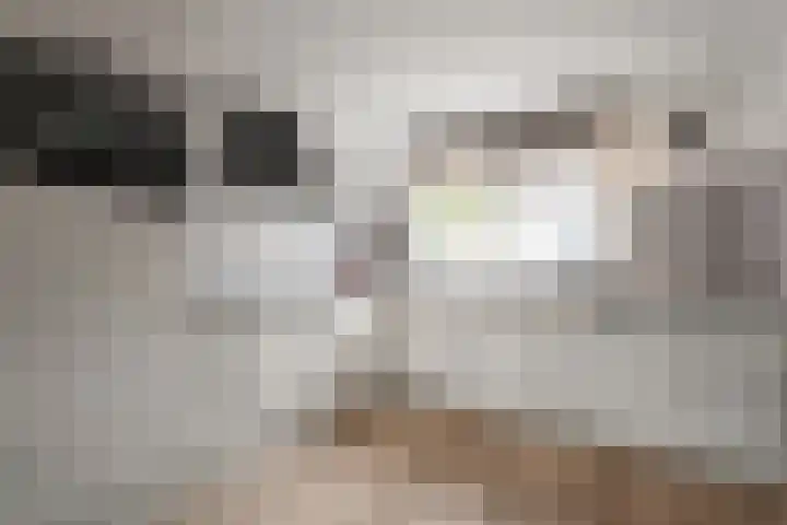 Doorzwin 1146 Julianadorp thumbnail 5