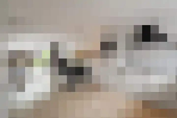 Doorzwin 1146 Julianadorp thumbnail 6