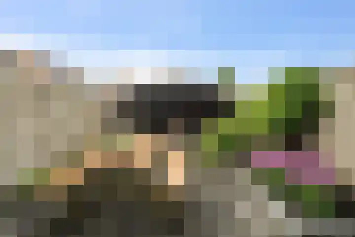Doorzwin 1146 Julianadorp thumbnail 7