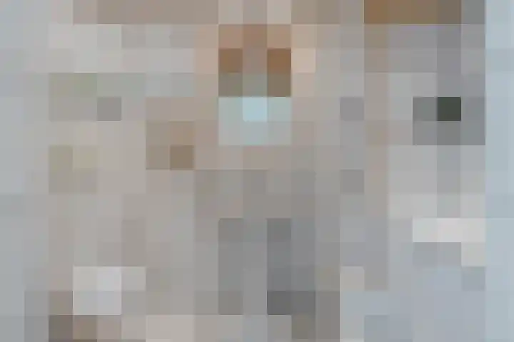 Doorzwin 1215 Julianadorp thumbnail 11