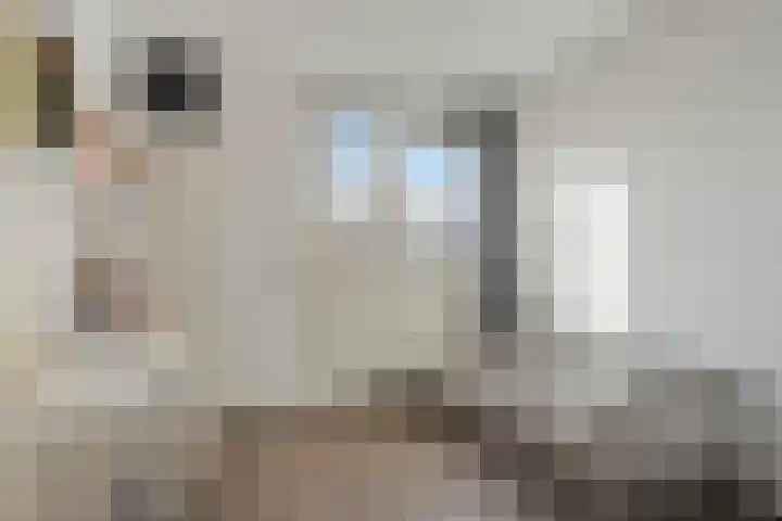 Doorzwin 1215 Julianadorp thumbnail 16