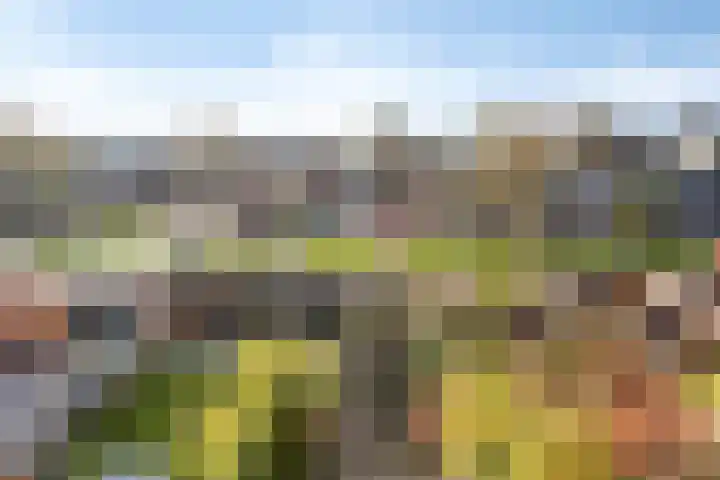 Doorzwin 1215 Julianadorp thumbnail 21
