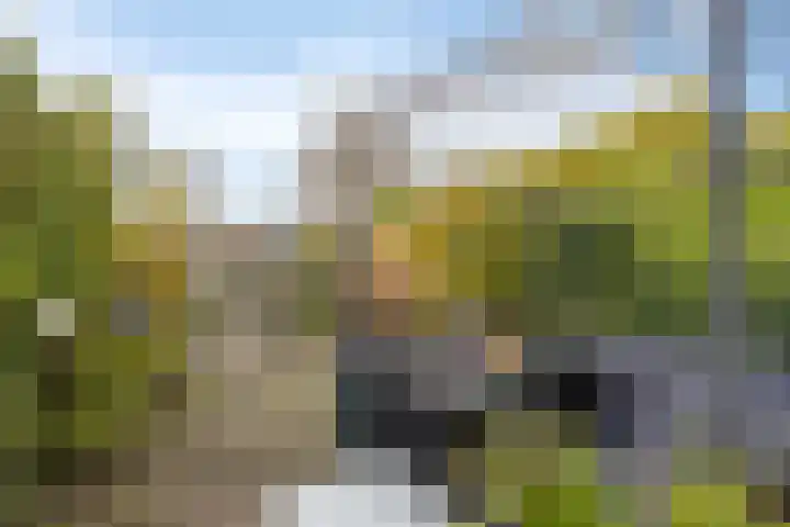 Doorzwin 1215 Julianadorp thumbnail 4
