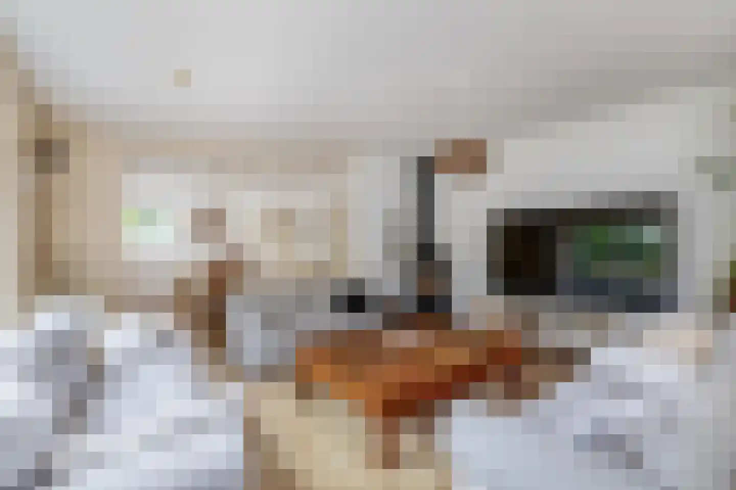Doorzwin 2111 Julianadorp thumbnail 10