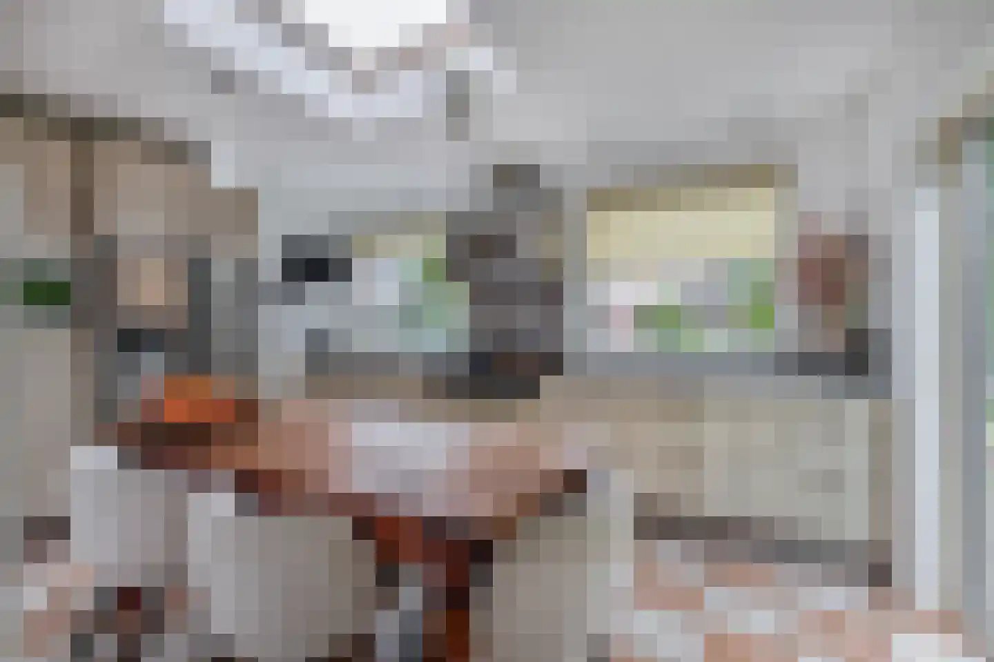Doorzwin 2111 Julianadorp thumbnail 11