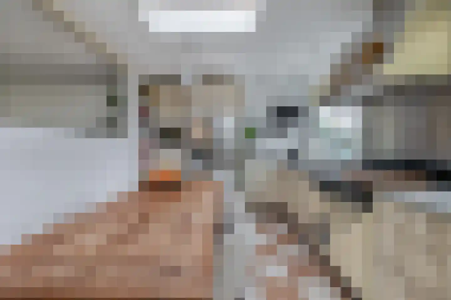 Doorzwin 2111 Julianadorp thumbnail 12