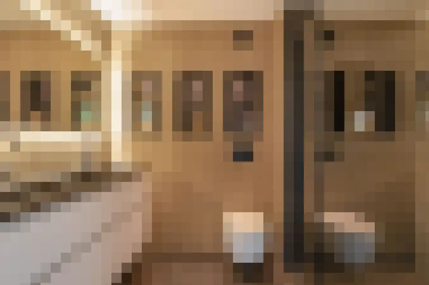 Doorzwin 2111 Julianadorp thumbnail 18