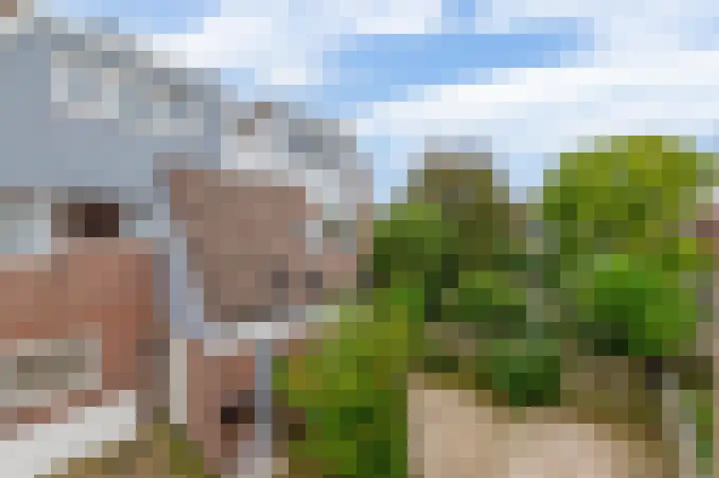 Doorzwin 2111 Julianadorp thumbnail 23