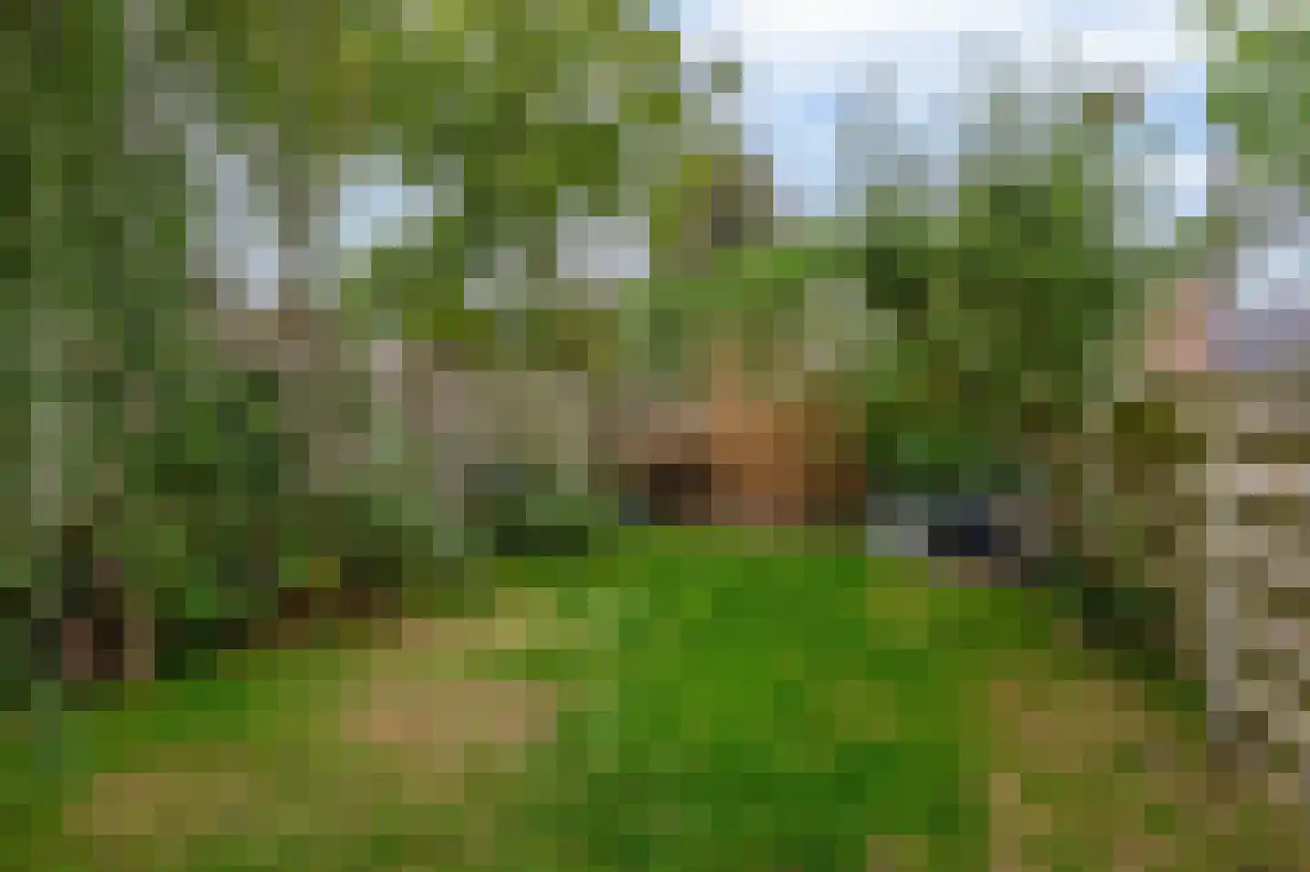Doorzwin 2111 Julianadorp thumbnail 27