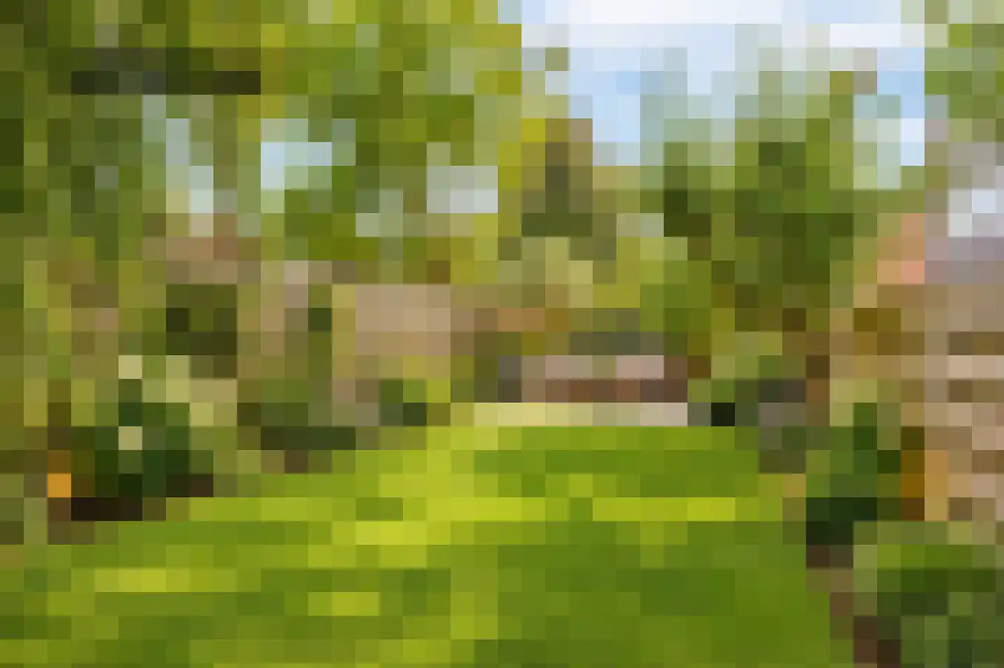 Doorzwin 2111 Julianadorp thumbnail 28