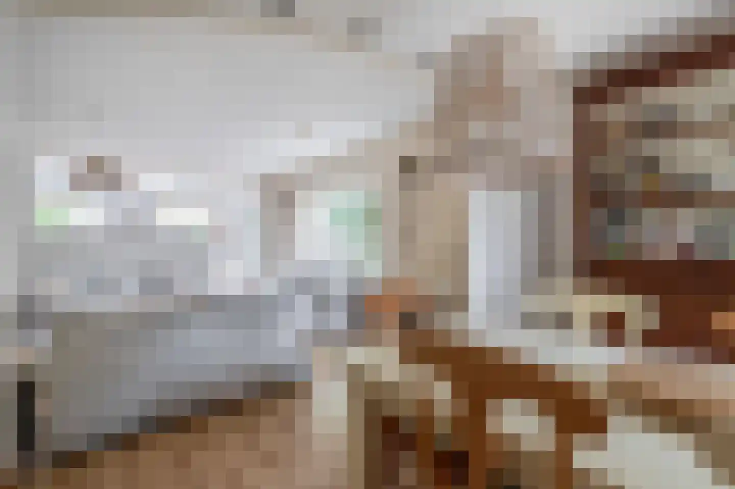 Doorzwin 2111 Julianadorp thumbnail 6