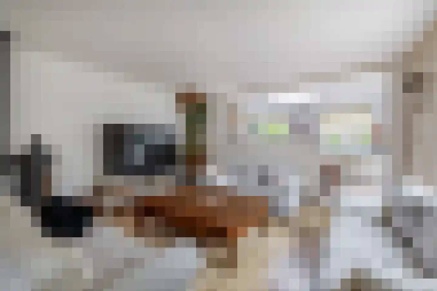 Doorzwin 2111 Julianadorp thumbnail 8