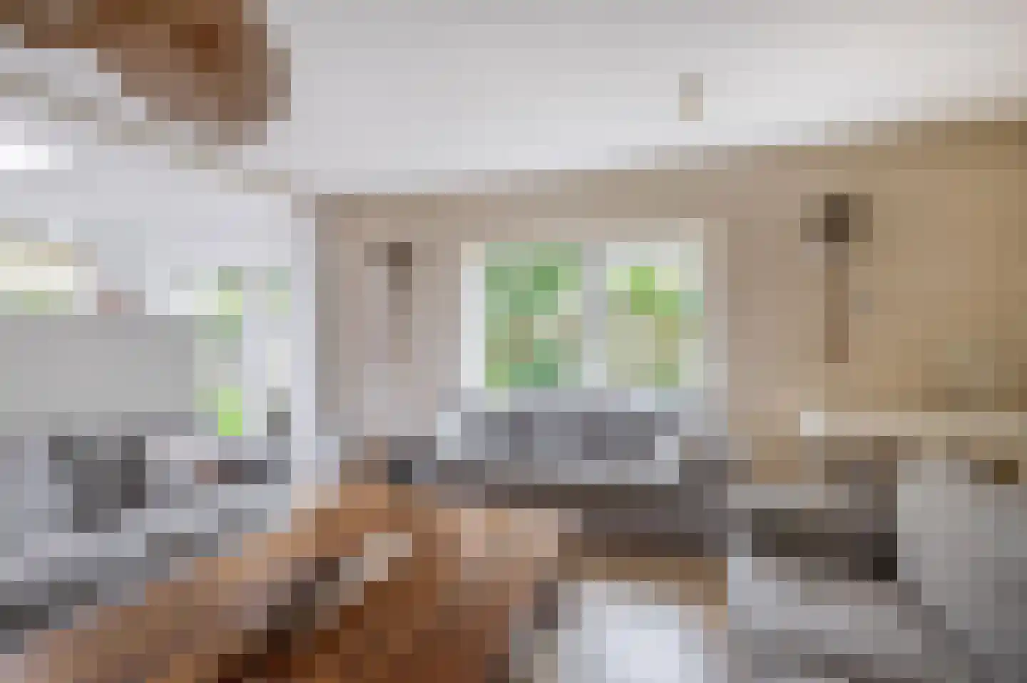 Doorzwin 2111 Julianadorp thumbnail 9