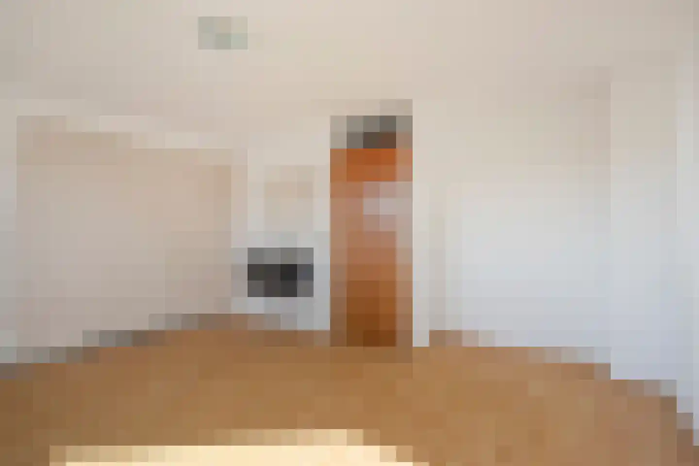 Doorzwin 2119 Julianadorp thumbnail 19
