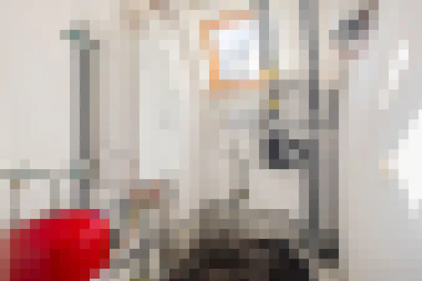 Doorzwin 2119 Julianadorp thumbnail 29