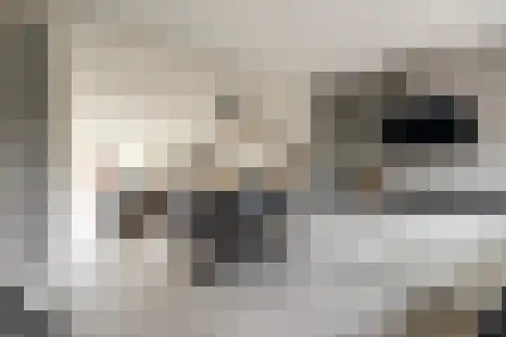 Doorzwin 2242 Julianadorp thumbnail 10