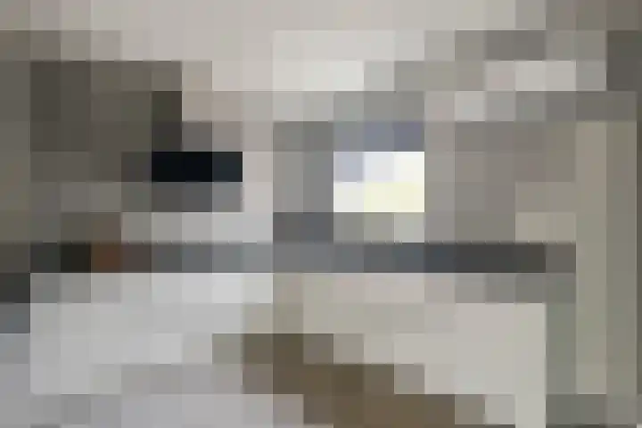 Doorzwin 2242 Julianadorp thumbnail 11