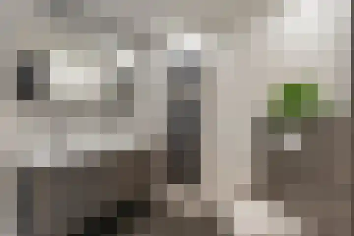 Doorzwin 2242 Julianadorp thumbnail 18