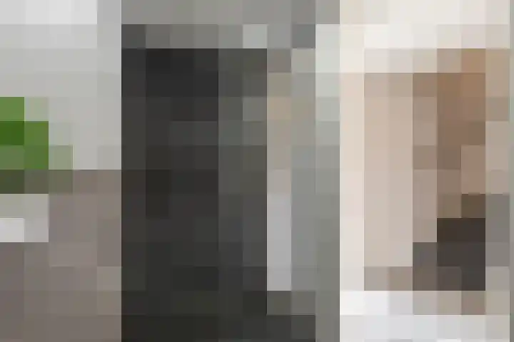 Doorzwin 2242 Julianadorp thumbnail 19