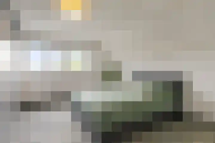Doorzwin 2242 Julianadorp thumbnail 21
