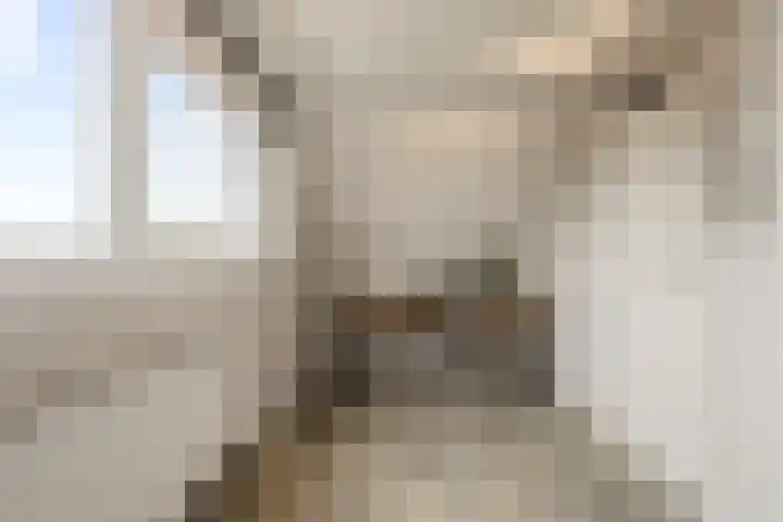 Doorzwin 2242 Julianadorp thumbnail 23