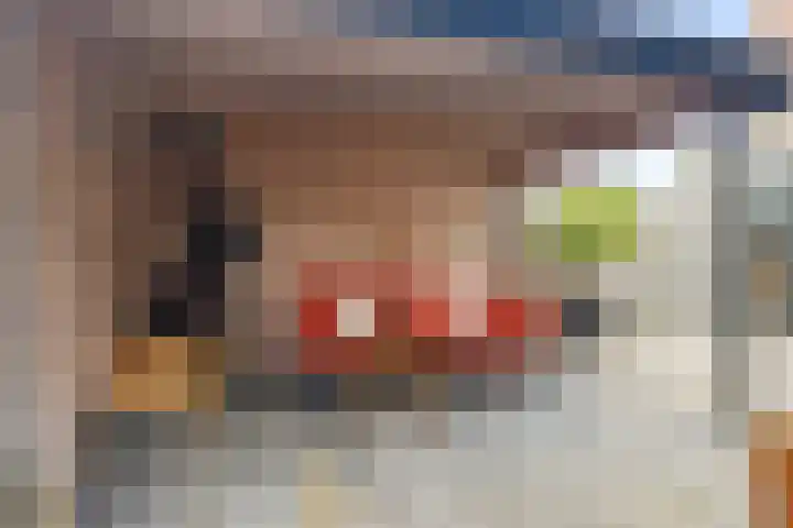 Doorzwin 2242 Julianadorp thumbnail 26