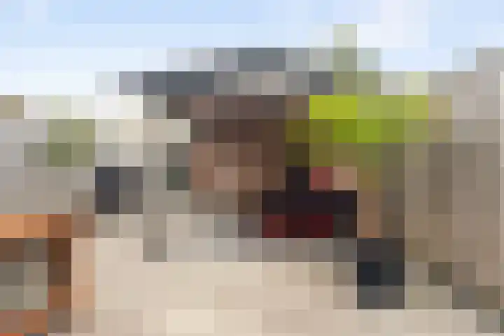 Doorzwin 2242 Julianadorp thumbnail 28