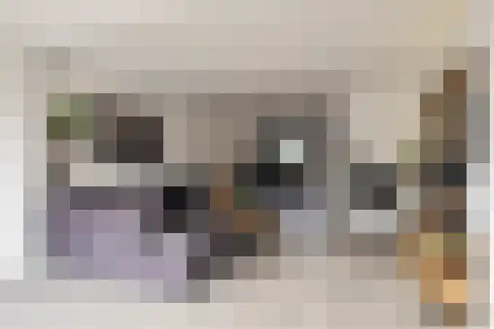 Doorzwin 2242 Julianadorp thumbnail 8
