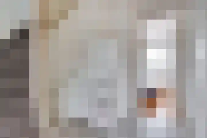 Doorzwin 2254 Julianadorp thumbnail 14
