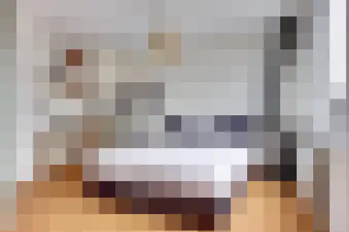 Doorzwin 2254 Julianadorp thumbnail 16