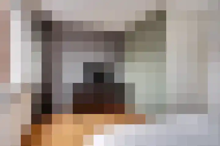 Doorzwin 2254 Julianadorp thumbnail 17