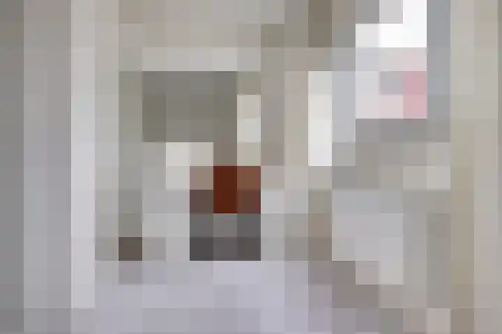 Doorzwin 2254 Julianadorp thumbnail 18