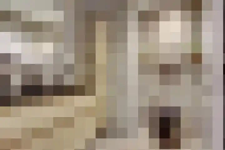 Doorzwin 2254 Julianadorp thumbnail 22