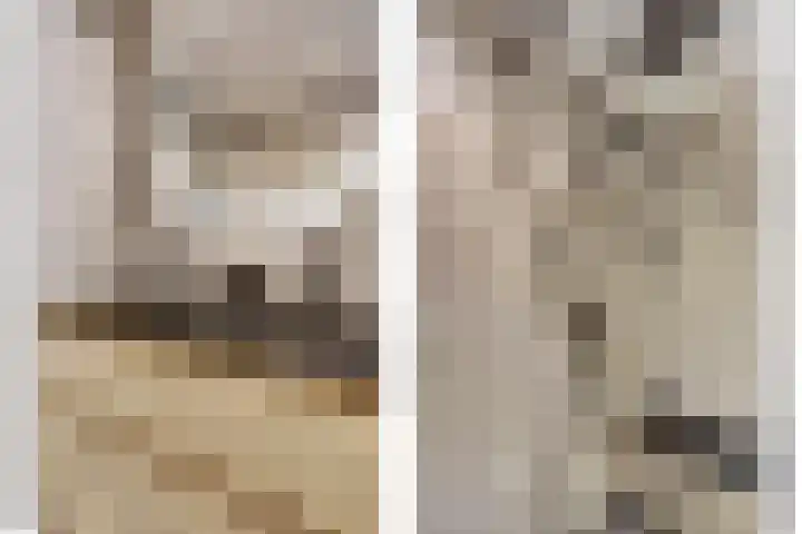 Doorzwin 2254 Julianadorp thumbnail 23
