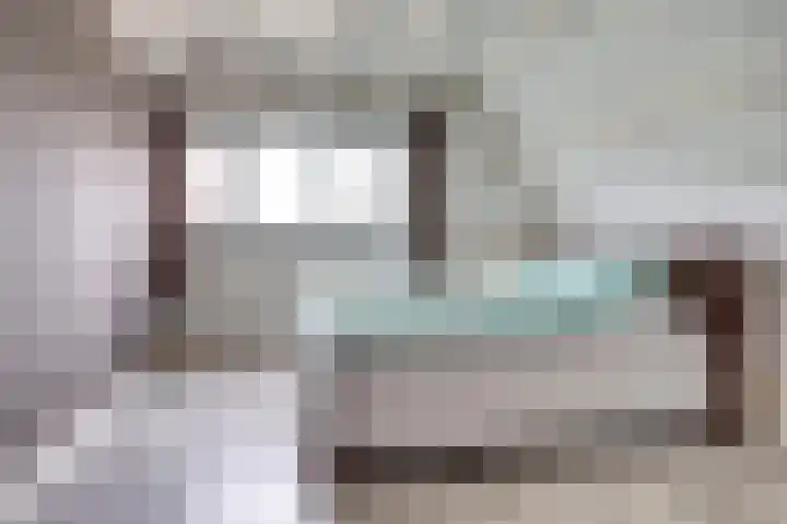 Doorzwin 2254 Julianadorp thumbnail 25